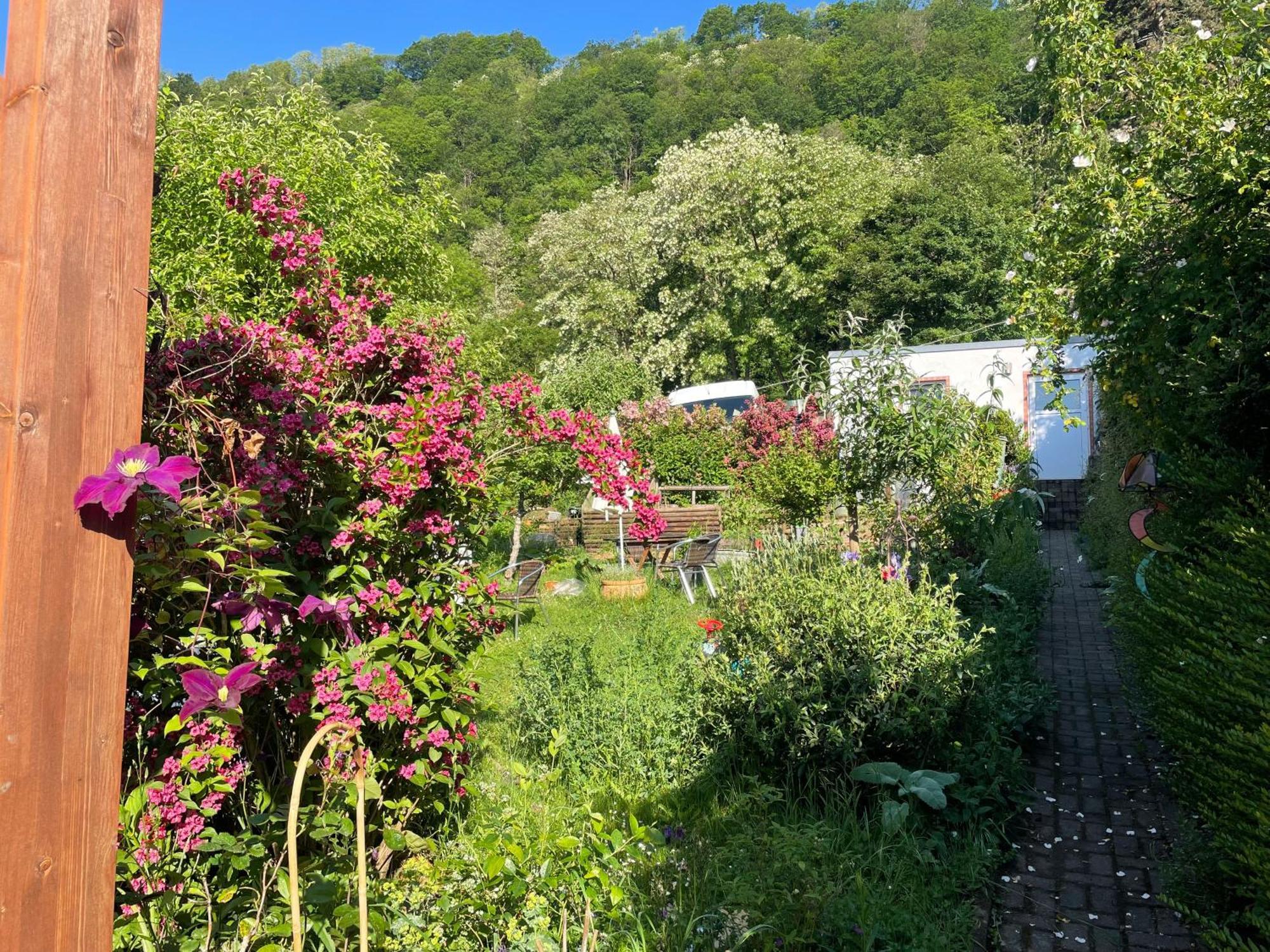 Blick Ins Gruene, Nah Am Zentrum Trier Luaran gambar